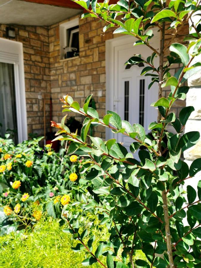 Apartment Brala Posedarje Εξωτερικό φωτογραφία