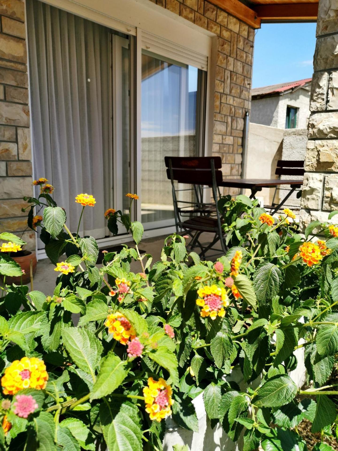 Apartment Brala Posedarje Εξωτερικό φωτογραφία